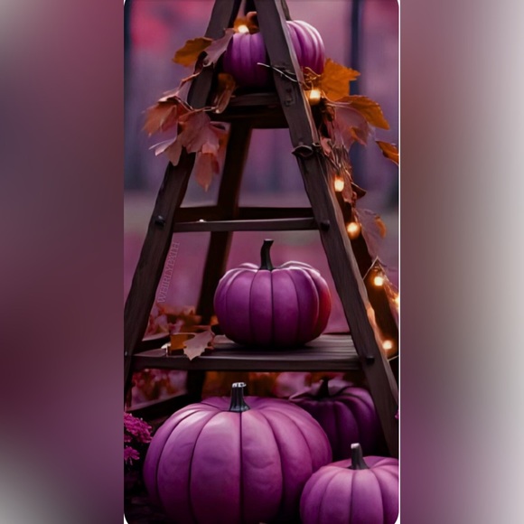 My sonโs wedding, my graduation human services/psychology, & grandsonโs birthday - Picture 5 of 15